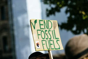 Fuel Crisis and Green Economy
