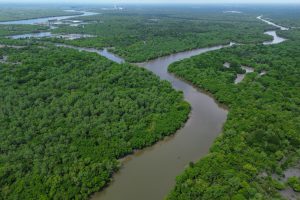 Strengthening Integrity in Indonesia's Forest Carbon Markets